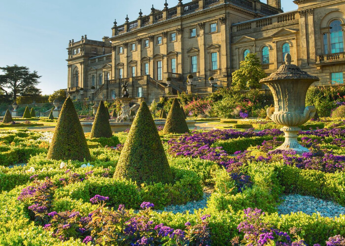 Harewood House Picnic