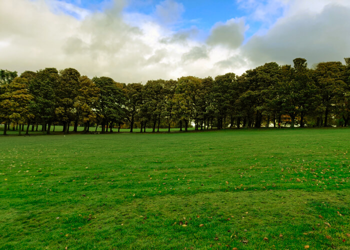 Woodhouse Moor Picnic