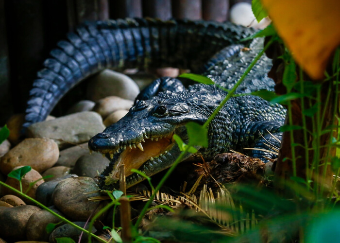 Tropical World Leeds date idea