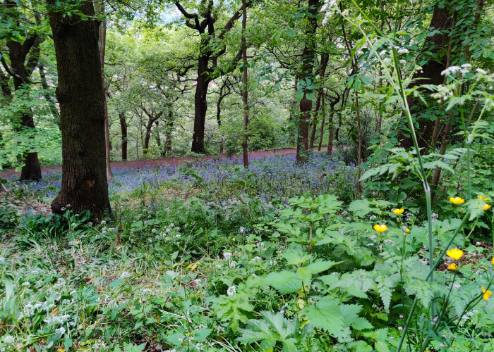 Woodhouse Ridge Leeds