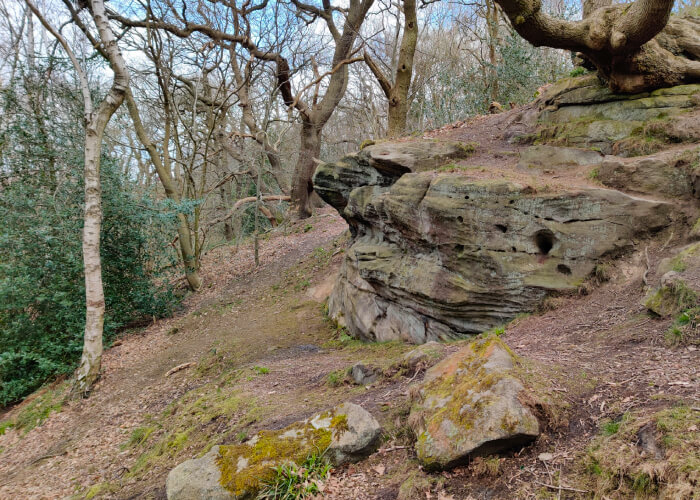 Hetchell Wood Leeds