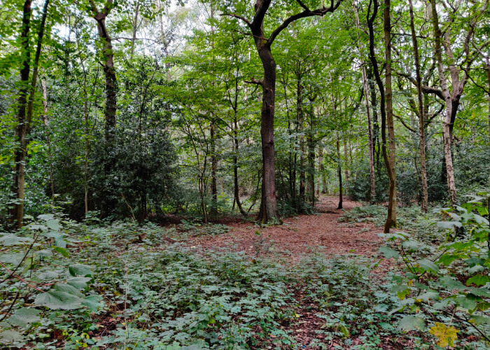 Middleton Wood Leeds