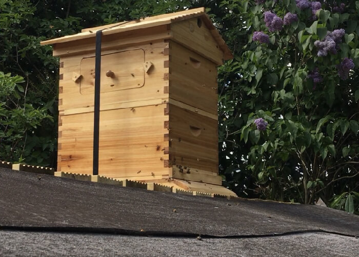 Bee hives on roofs in Leeds