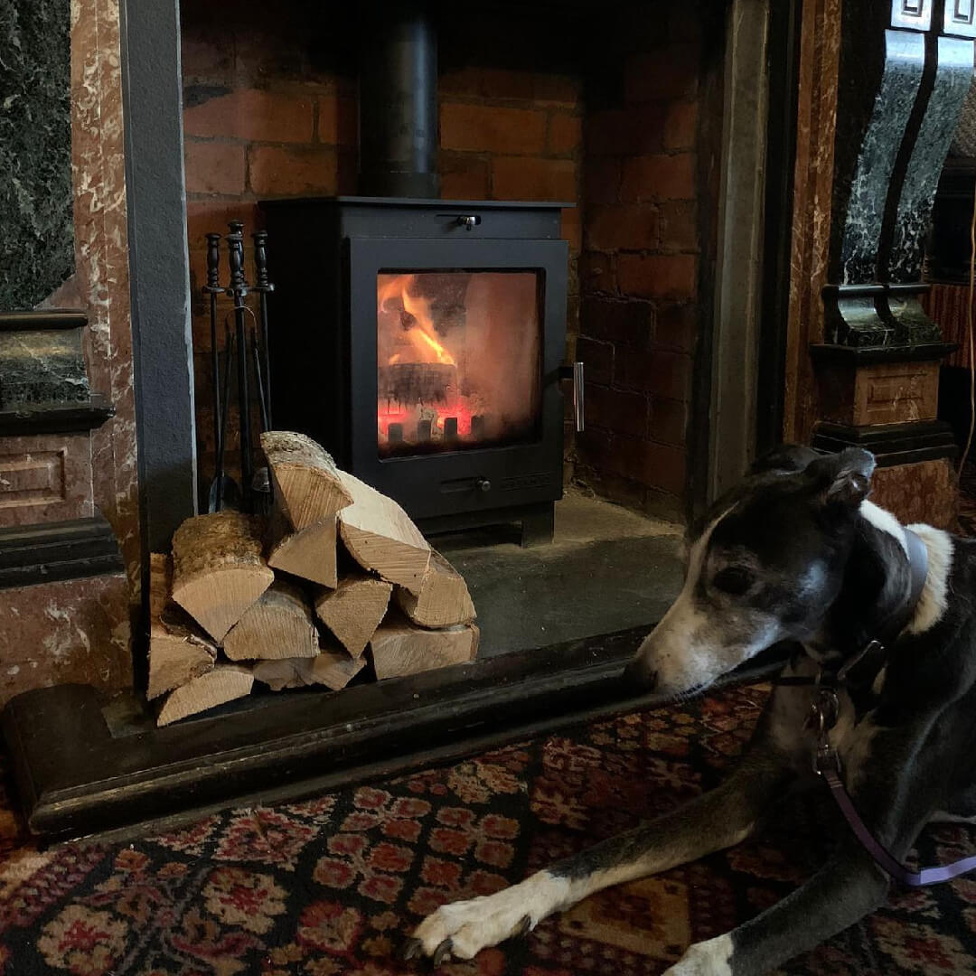 Cardigan Arms Dog Friendly