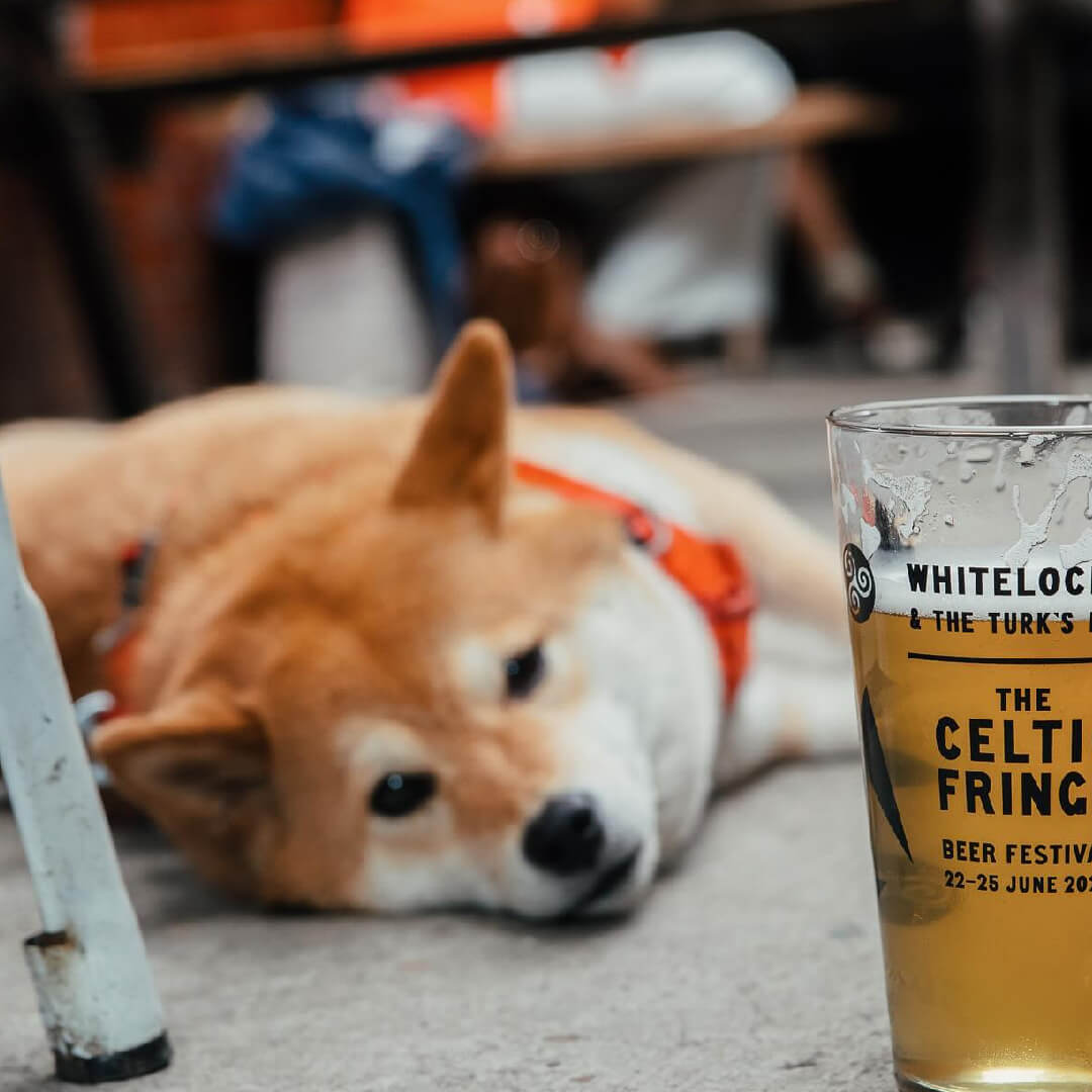Whitelocks Dog Friendly