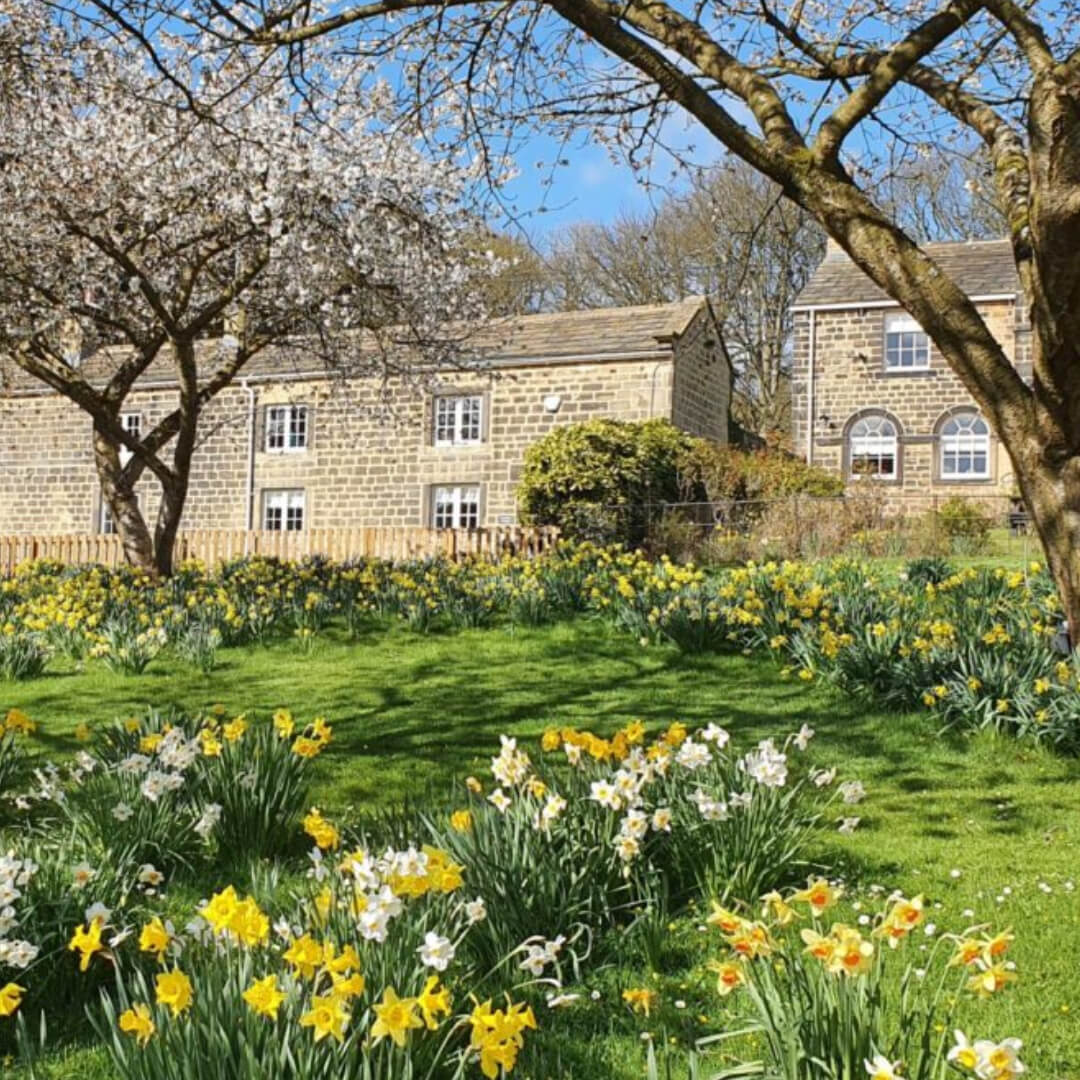 Harewood Estate