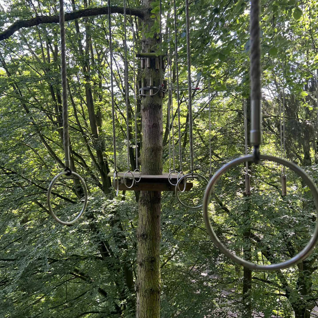 Temple Newsam Go-Ape